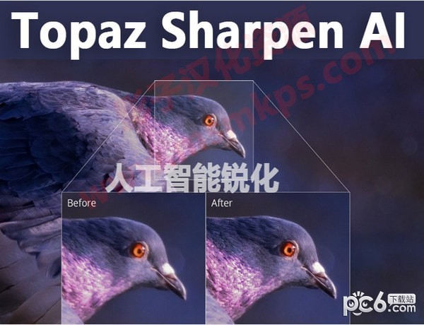 Topaz Sharpen AI(˹)