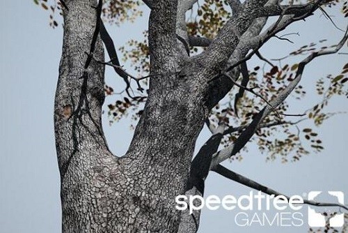 speedtree Games Indie(3Dƹ)