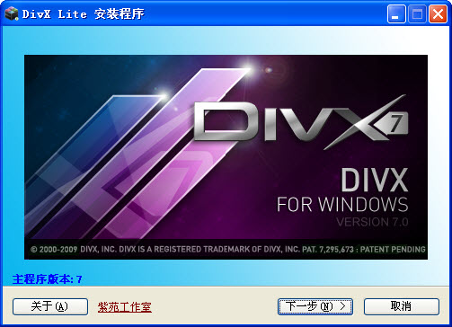 divx(Divx Codec)