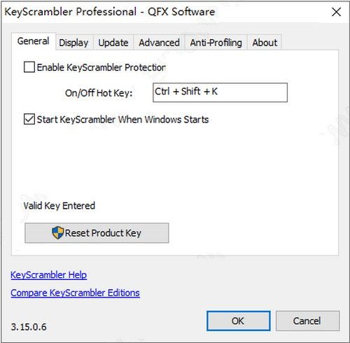KeyScrambler Professional(̼¼)