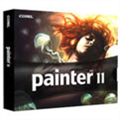 Painter11