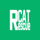 救援猫安全救援知识学习