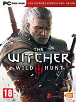 ʦ3ԣThe Witcher 3: Wild Huntv1.31»MOD