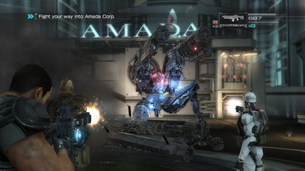 (Binary Domain)ͼ