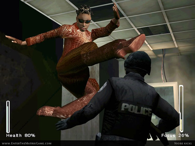 ڿ͵۹(Enter the Matrix)ͼ