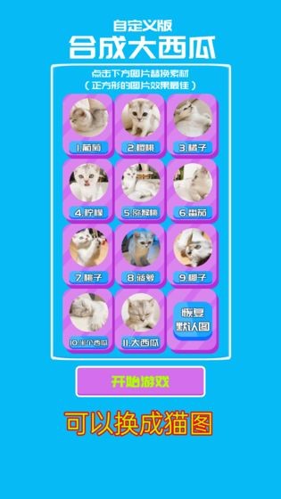 Զϳɴϵ԰ͼ