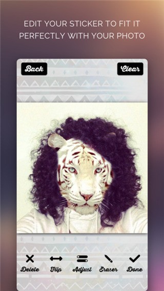 Animal Face԰ͼ