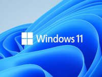 Windows11ôwifi Windows11ôֻȵ