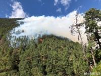 西藏林芝发生森林火灾 529名消防员扑救西藏林芝森林火灾