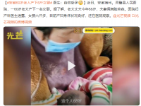 安徽60岁老人产下6斤女婴 医生：自然受孕