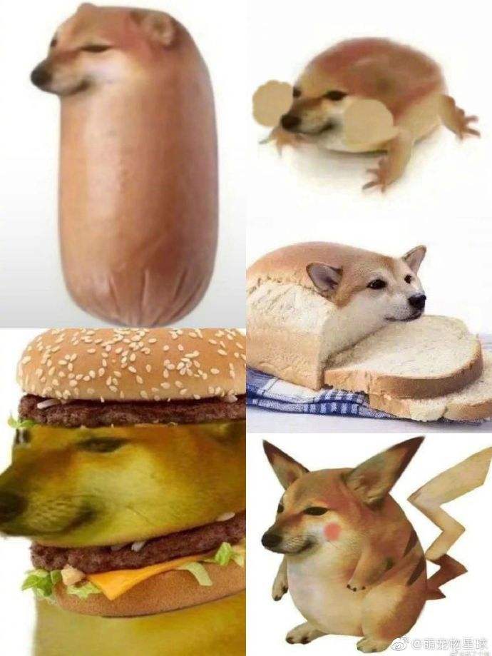 面包狗和香肠狗原图图片