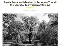 白宫宣布制裁8名亲信及其家人_俄罗斯的树也被制裁了