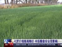 沙利文：将宣布对俄新制裁 美威胁制裁俄化肥遭多国反对