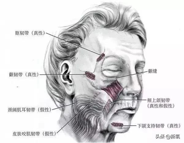 韩素希脸部受伤是怎么回事关于韩素希脸部受伤照片的新消息