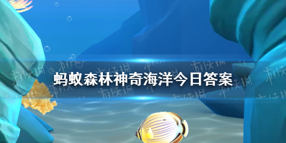 以下毒性最强的海底动物是 神奇海洋8月4日答案