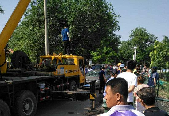 天津一小客车掉落河中4人死亡是怎么回事，关于天津客车坠河事件的新消息。