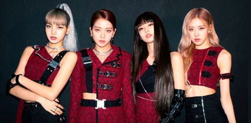 blackpinkݳƱ