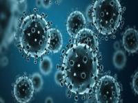 现在是什么流感病毒,新冠毒株共有几种变异株？现在流行的是……