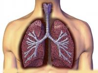 大白肺一般能维持几天,何为大白肺？