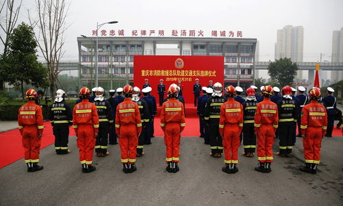 王保国重庆消防总队图片