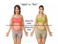 梨形身材的脂肪长对了地方_原来，梨形身材，才是最健康的身材！