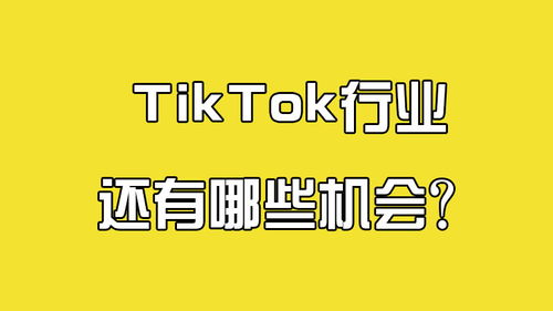 TikTokз̵Ļ_Լ꣬TikTok緭̣