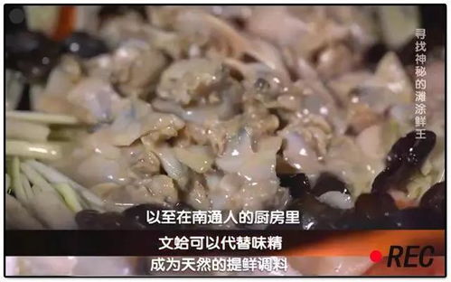 必一运动：南通特产排行榜前十名_南通十大名菜(图1)