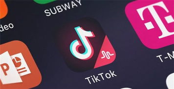 Ժֽ180TikTok_TikTok޻ӳ 輧ٴحCEOϰ