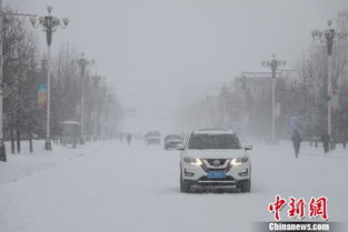 漠河已经下暴雪啦_降雪量10.3毫米！漠河迎来暴雪天气