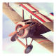 ģ (Flight Theory Free)