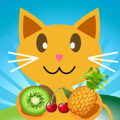 QCat