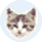 EF File Catalogĵ