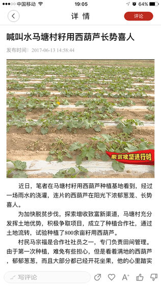 中华杞乡中宁