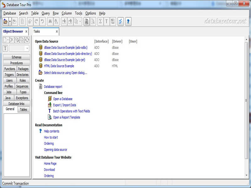 Database Tour Pro(ݿ)