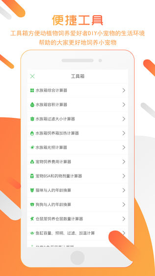 雅恏