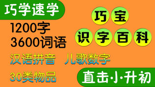 宝宝识字