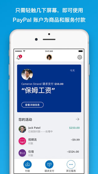 PayPalͼ0