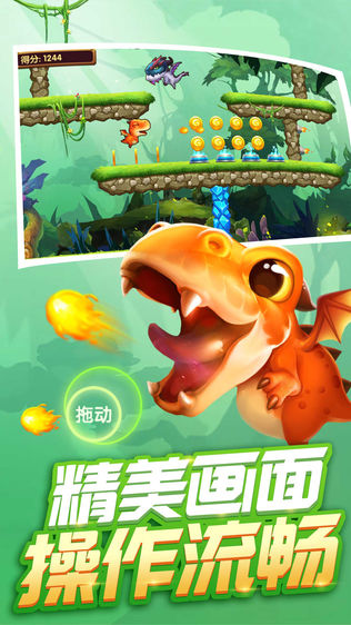 飞龙游戏