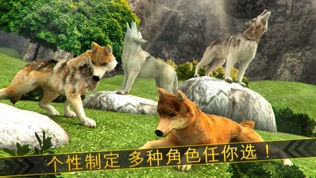 神奇狼人和狗狗冲突