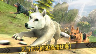 神奇狼人和狗狗冲突