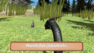 ɭģ3Dͼ0
