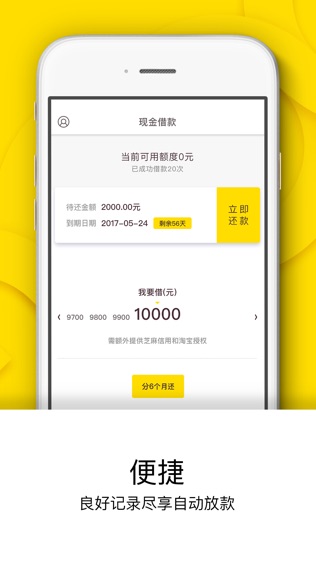 现金借款