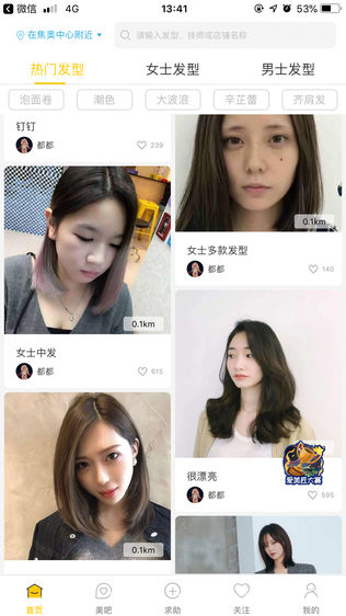爱美猫