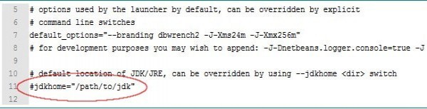 Nizana Systems DbWrench(ӻݿ)