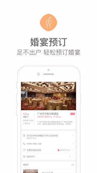 婚礼猫