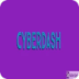 CyberDashƽ