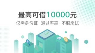 小树时代