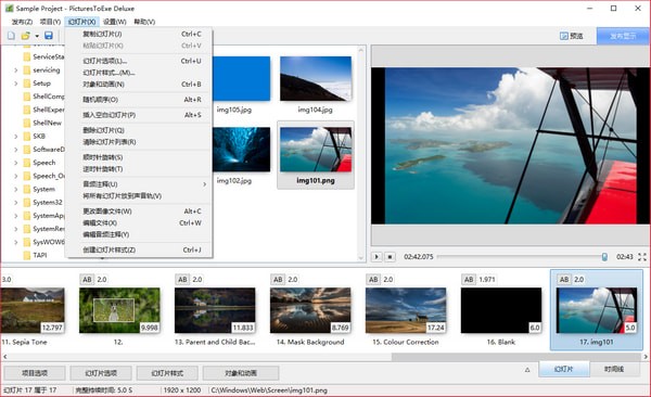 PicturesToExe Deluxe(õƬ)