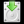Forte Notation Pro(רҵ)