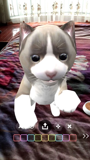 猫抓老鼠